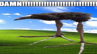 Big Fish Inc. thumbnail