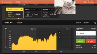 【FX】1万円から始める為替取引【BO】40