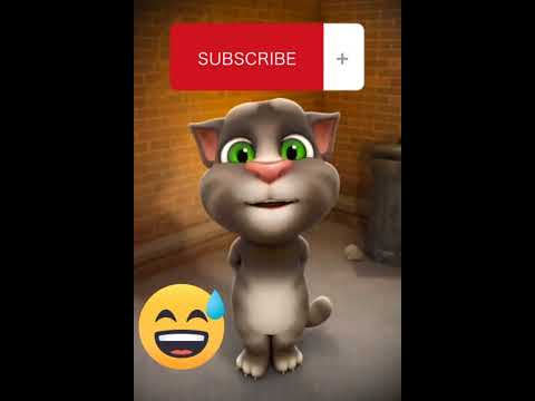 funny poetry cat😂😂#youtube #poetry #cats #catlover #trending video