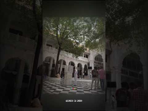 ||•When peace feels like Krishna’s presence 🌿•|| #bhaktimood #krishnalove #mindfulvibes #peacewithin