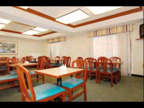 BEST WESTERN Airport Inn & Suites