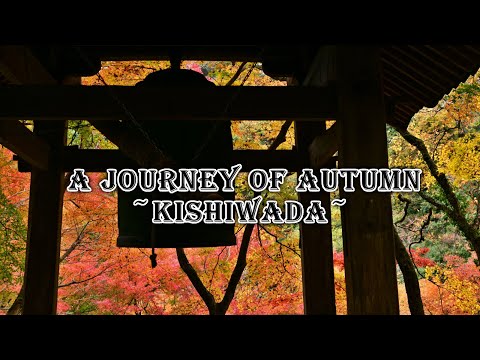 A Journey of Autumn ～Kishiwada～