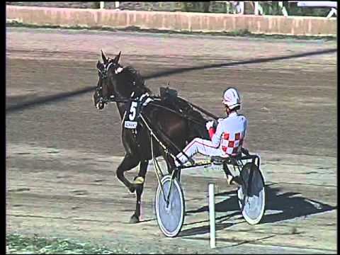 Trotto 04/10/2015 - 5° corsa