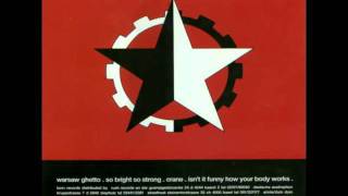 Nitzer ebb-Warsaw ghetto (dub mix)