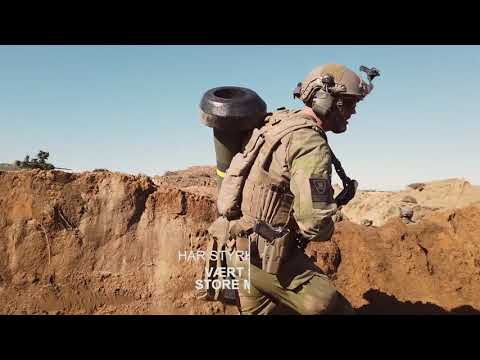 Norske styrker i Litauen