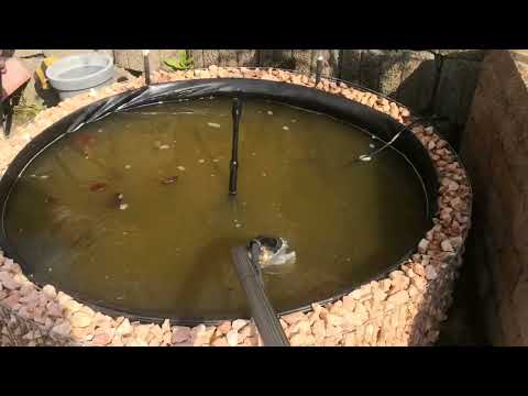 Kränzle Teich Schlammsauger - Mieten W&H Richter