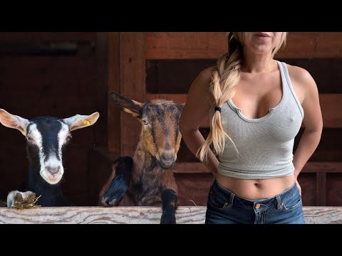 She Needed Help – Assisting with a Difficult Kidding!