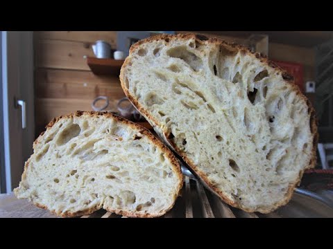 Homemade Rustic Bread in 3 hours Large Alveoli bread