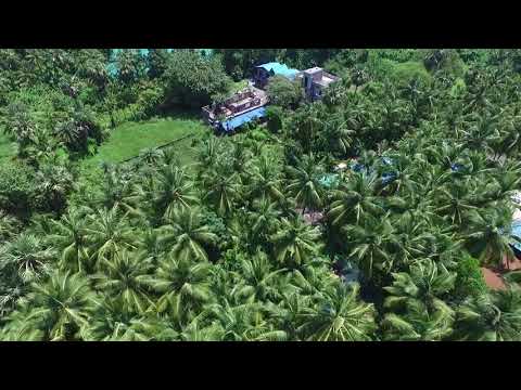 download lagu mp3 mp4 Anandvan Resort Kelva, download lagu Anandvan Resort Kelva gratis, unduh video klip Anandvan Resort Kelva