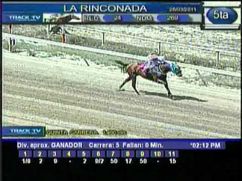 Sábado, 26 de Marzo de 2011 - La Rinconada