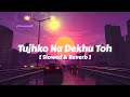 Tujhko Na Dekhu Toh Jee Ghabrata Hai Slowed Reverb Jaanwar Udit Narayan Sunidhi Chauhan