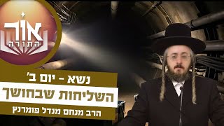 הרב מנחם מנדל פומרנץ | אור התורה - יום ב' פרשת נשא • השליחות שבחושך •