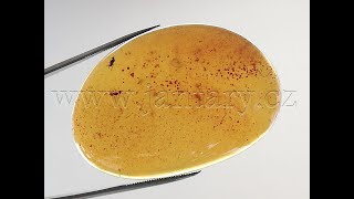  Křídový jantar B-247