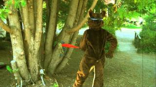 Camp Feral! presents: Predator vs. Prey