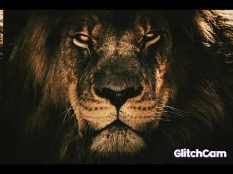 Video thumbnail RpXvOAD2Yb0