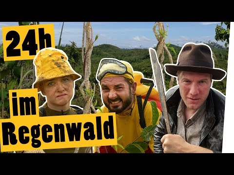 Challenge: Rettet den Regenwald! Pflanzt 1000 Bäume in 24 Stunden || „Das schaffst du nie!“