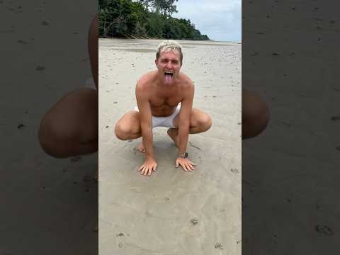 Crazy Dog 🐶 on the beach #crazykozak #dogshorts #dogvideos