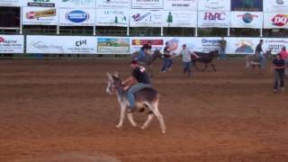 preview picture of video 'Philomath frolic and Rodeo Donkey Ride  2012'