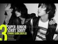 Super Junior - Why I like You (Spanish sub) 