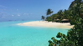 MALDIVES, South Ari Atoll | Villingilivaru Island, one of the smallest of the archipelago