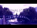 Postcard Series #6: Charlene Kaye - "Animal Love ...