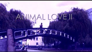 Postcard Series #6: Charlene Kaye - &quot;Animal Love II&quot;