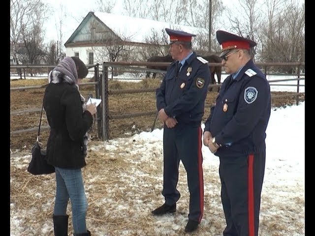 Если вы увидите на улицах патруль на лошадях…