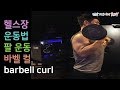 바벨운동, 이두운동, 팔운동, 바벨 컬(barbell curl)[건디ROY]
