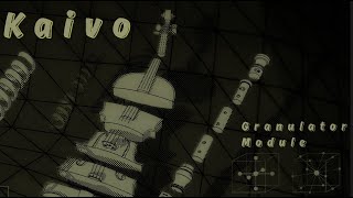 Video thumbnail for Kaivo: Granulator Module Overview by Madrona Labs
