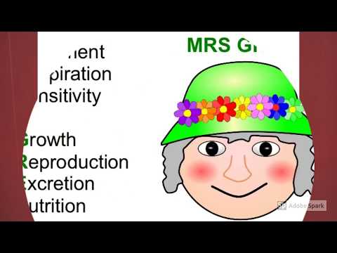 download lagu mp3 mp4 Mrs Gren, download lagu Mrs Gren gratis, unduh video klip Mrs Gren