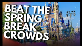 How to Survive Spring Break Crowds in Disney World