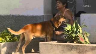 Miniatura do vídeo