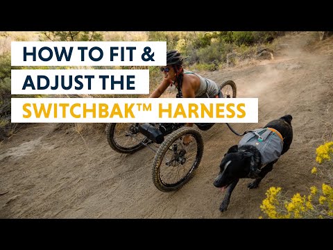 Kako namestiti in prilagoditi: Switchbak™ Harness