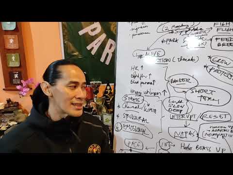 Ade Rai STRESS RESPONSE Strategy