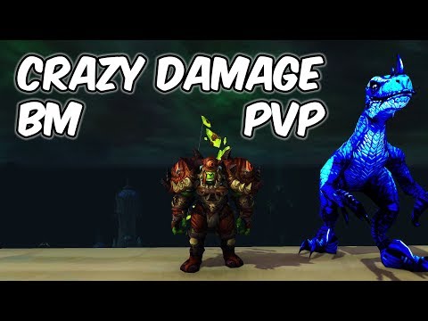 Crazy Damage - Beast Mastery Hunter PvP - 8.0.1 WoW BFA