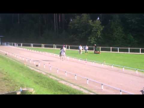 Pace - Test Carina Mayerhofer.MP4