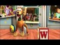 Opening To Toy Story 3 2010 DVD Universal Version