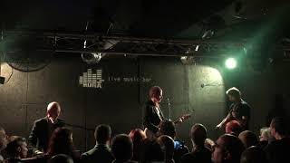 Steve Wynn, Chris Cacavas, Rodrigo D’Erasmo - Whatever You Please