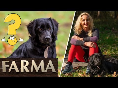 Farma 14 - Kde skončil miláčik Farmy 14?