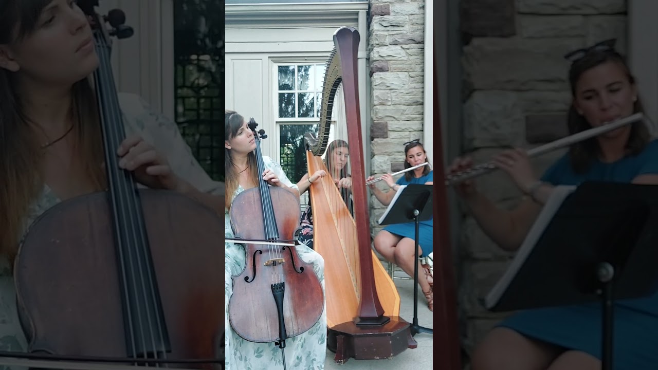 Promotional video thumbnail 1 for The Soenen Sisters - Harp Flute and Cello