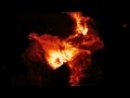 Colour Haze - Turns 2008 (Music video) 