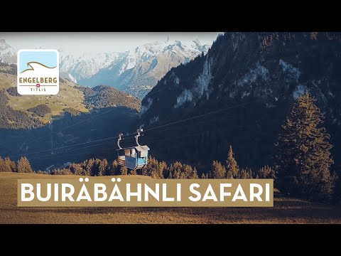 Engelberg Buiräbähnli-Safari 🚡 | Kleinseilbahnen-Abenteuer über den Wolken