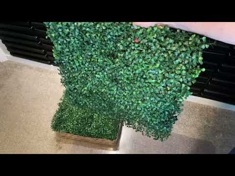 NETAP Grass Wall Panels, 20'x 20'6pcs Artificial Boxwood Faux Grass Review