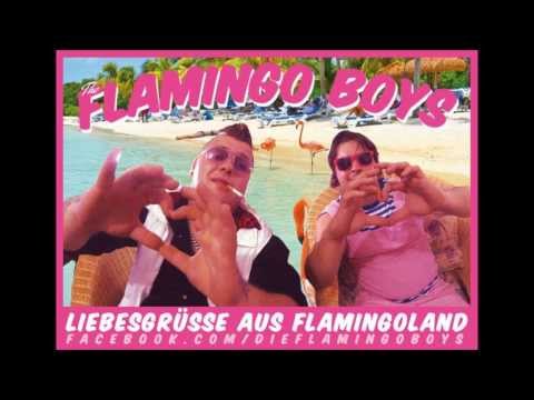Flamingo Boys - FlamingoBoysMix