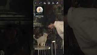 Download lagu ide lagu buat post pacar kamu #song #spotify #rekomendasi #reels #reelsinstagram #reelsvideo #pacar mp3 Download lagu ide lagu buat post pacar kamu #song #spotify #rekomendasi #reels #reelsinstagram #reelsvideo #pacar mp3