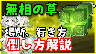 - 無相の草の行き方、倒し方解説【原神】場所 ナヒーダ突破素材 スメール砂漠GenshinImpactげんしん初心者無課金向け攻略無双の草むそうのくさ