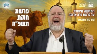 השיעור השבועי פרשת חוקת תשפ"ה - הרב ברוך רוזנבלום בהמחשה מיוחדת על פרה אדומה !! שיעור אלעד (הרב ברוך רוזנבלום) - התמונה מוצגת ישירות מתוך אתר האינטרנט יוטיוב. זכויות היוצרים בתמונה שייכות ליוצרה. קישור קרדיט למקור התוכן נמצא בתוך דף הסרטון