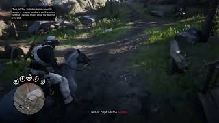 Red Dead Redemption 2_20241114234344