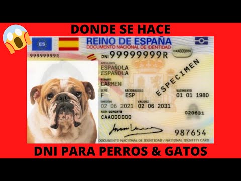 🔴WHERE DOGS & CATS DNI is made🔴