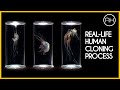 What Is Human Cloning What S The Process For Human Cloning AH Documentary